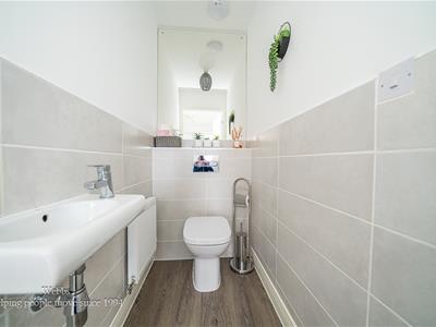 Picture 16